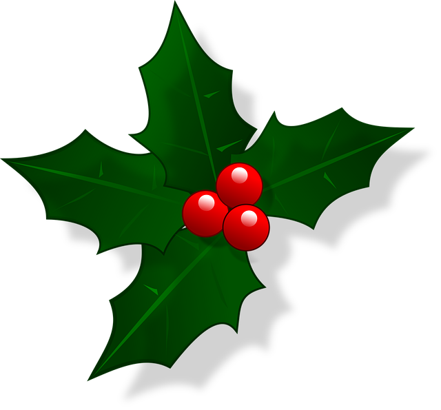 holly-g3e69c7b55_640.png