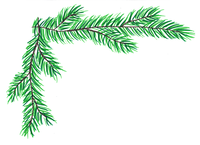 pine-needles-g5a1c9cb57_640.png