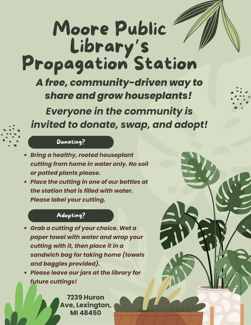 propagation station.jpg