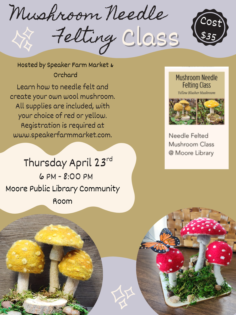 Mushroom Felting Class (1).png