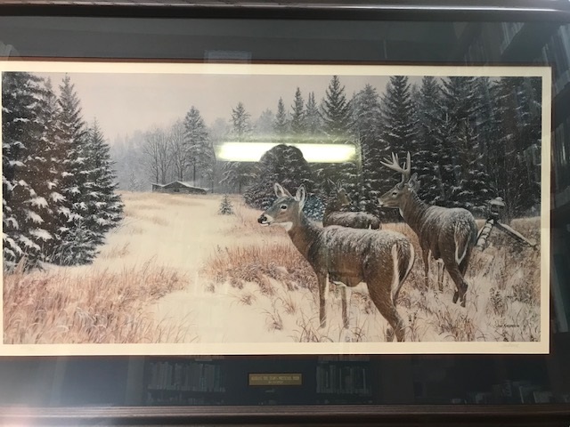 whitetail deer print.jpg